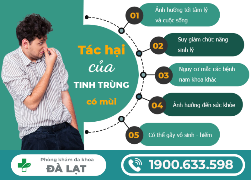 Hình ảnh minh họa
